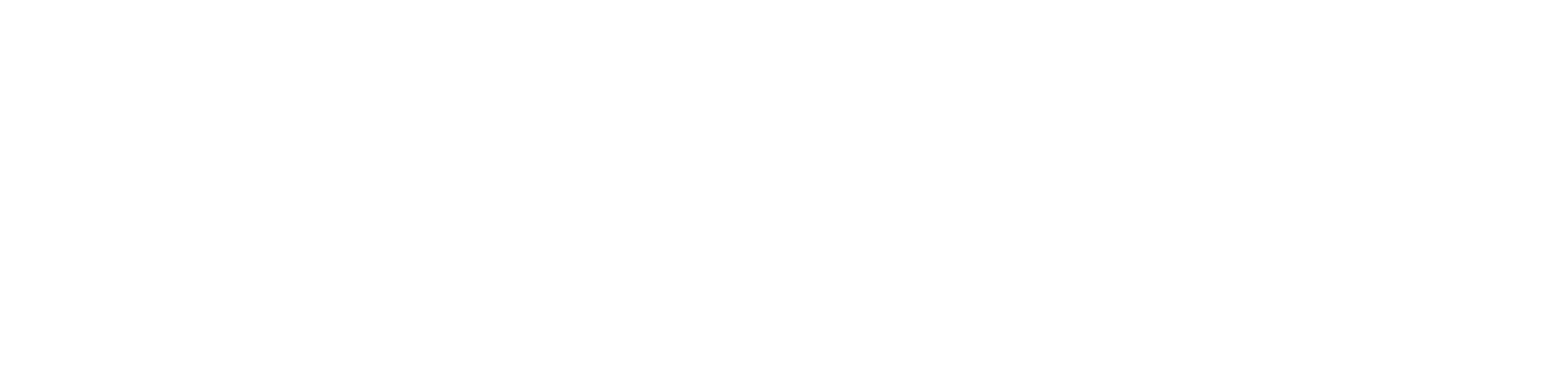 NewMoon Logo