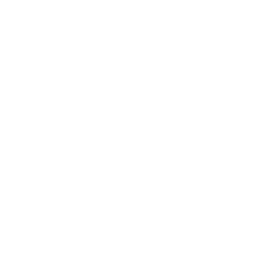 NewMoon Logo